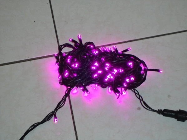 LED紫羅蘭燈串~10米 100燈