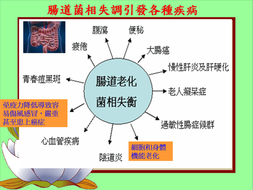 腸道菌相需平衡