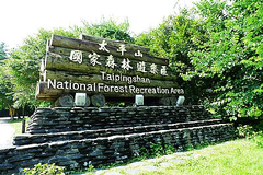 宜蘭賞鯨,宜蘭賞鯨行程,太平山翠峰湖接駁