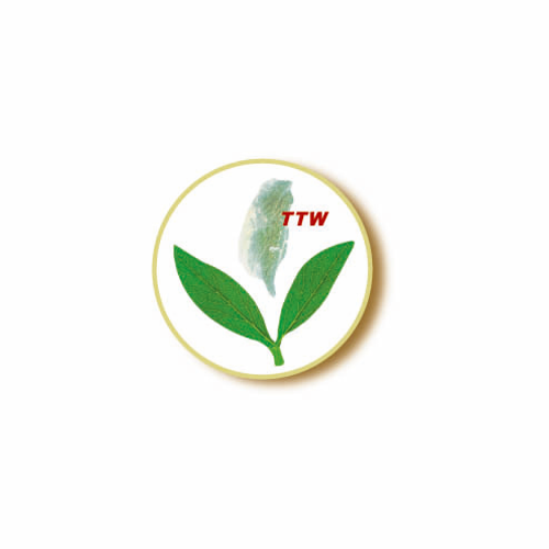 綠茶多酚洗髮護髮組