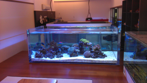 水族工程\魚缸\游泳池\