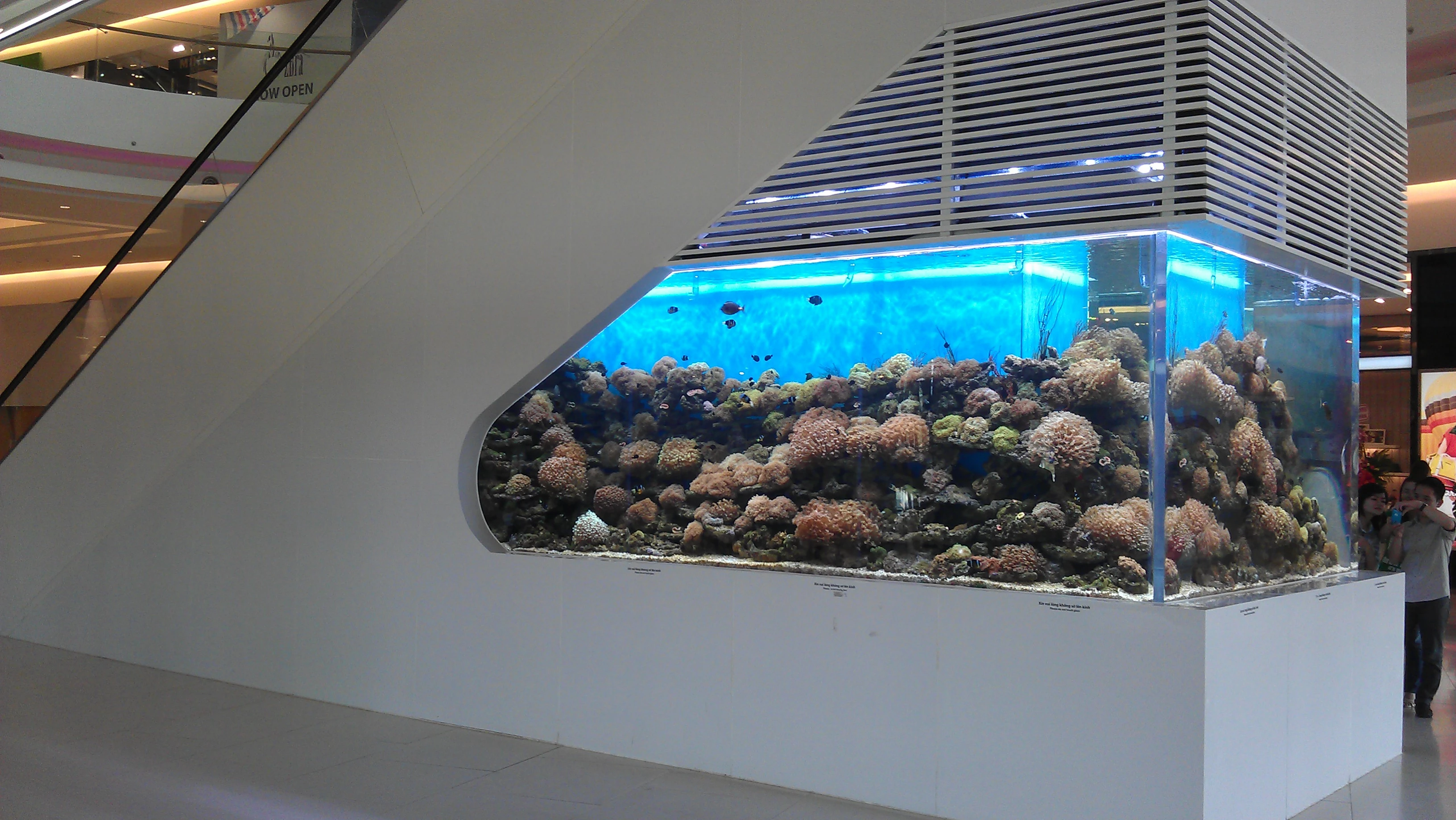 越南胡志明市\重型魚缸\大型\Big aquarium\