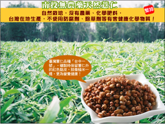 來自南投草屯九九峰下的紅薏仁