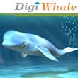 數位鯨 網頁設計 網站架設 logo設計