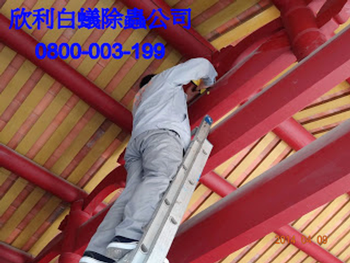 高雄白蟻除蟲公司