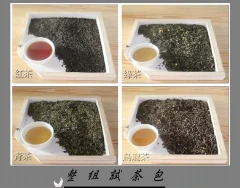 整組試茶包