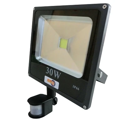 LED 戶外感應投射燈(30W)