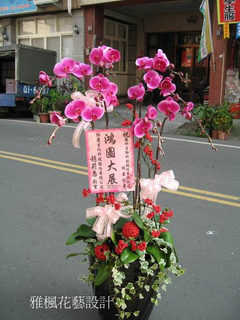蘭花盆栽 (適用於：各種開幕、喬遷、榮陞、廟會、結婚、選舉...等各種喜慶)