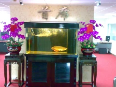 首席開發公司大門入口阿蘭諾字