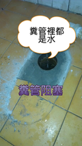南區馬桶不通,南區通馬桶,南區水管阻塞,南區通馬桶達人,包通