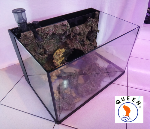 海水魚珊瑚專用套缸