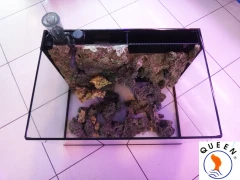 海水魚珊瑚專用套缸