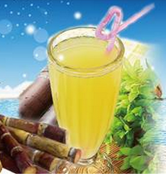 甘蔗青茶