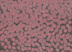 037-08