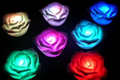 LED發光玫瑰，七彩玫瑰，玫瑰花裝飾燈，