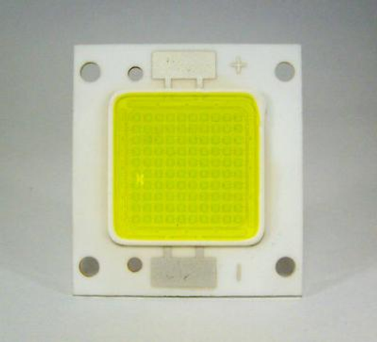 100W COB Cold White