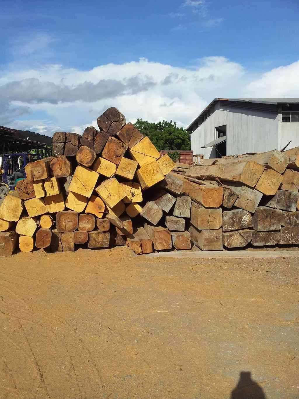 公司巴紐自有木材倉庫