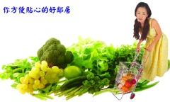蔬果供應商-穩定貨源,直銷配送方式服務全省各階層消費者