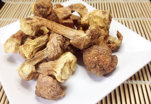 巴西菇
