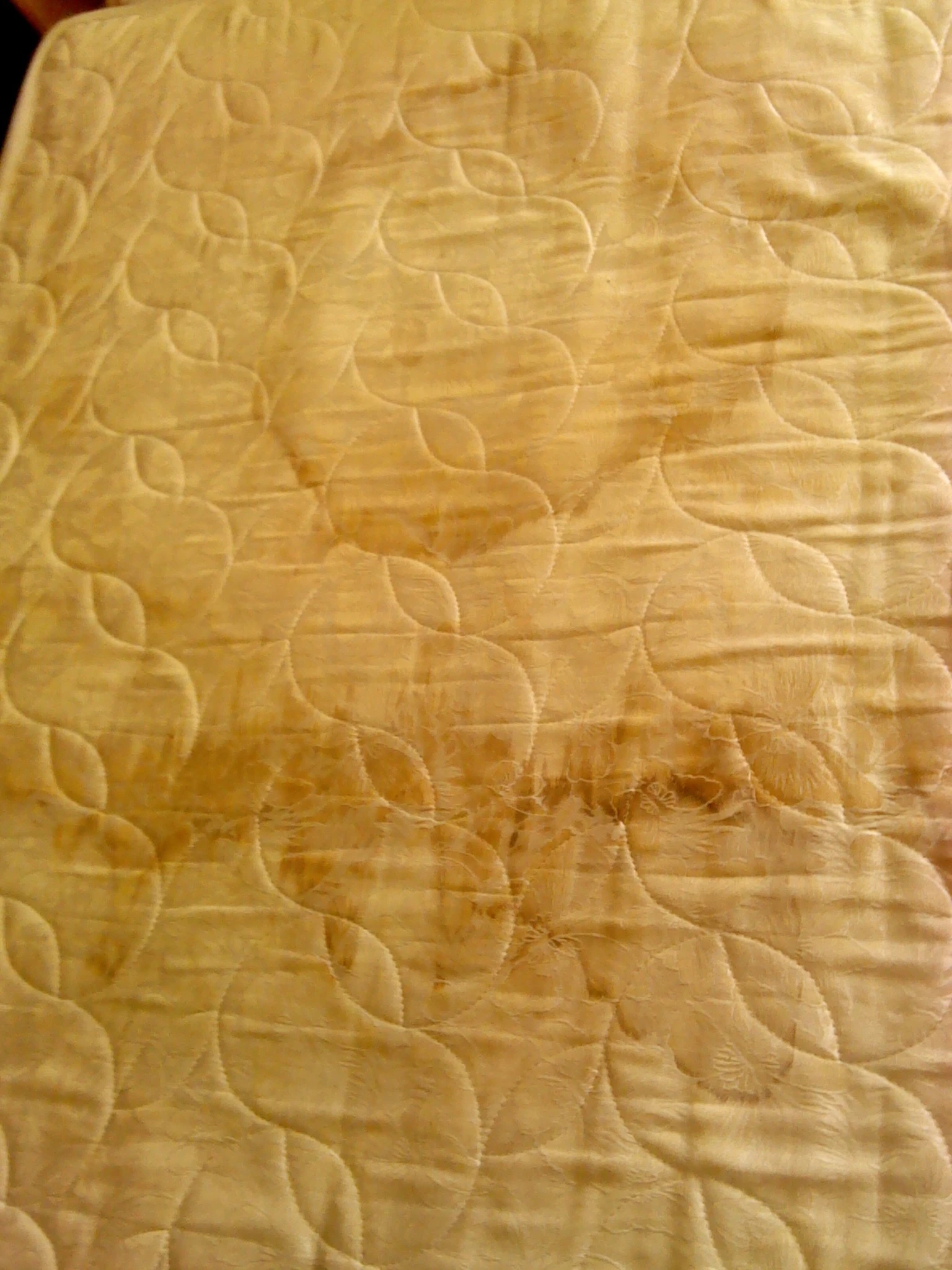 窗簾、床墊、床頭片─清潔、除塵、殺菌、除螨