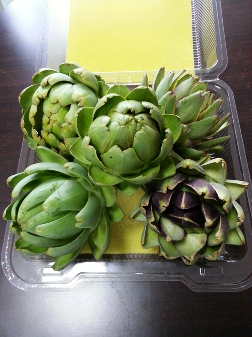 法國百合-朝鮮薊(Artichoke)有機生鮮花苞