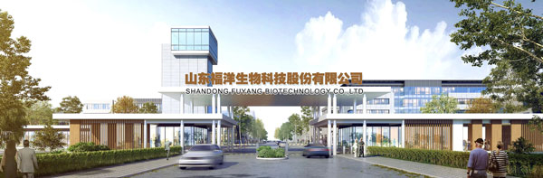 banner1圖檔