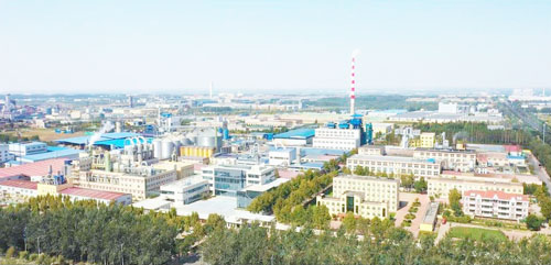banner3圖檔