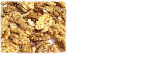 DRIED WALNUT