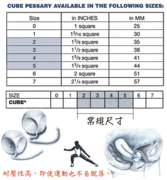 骰子型子宮托尺寸挑選