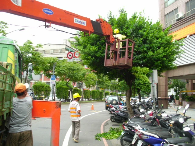 專業樹木修剪配合吊車施作