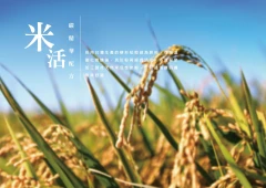 配方介紹