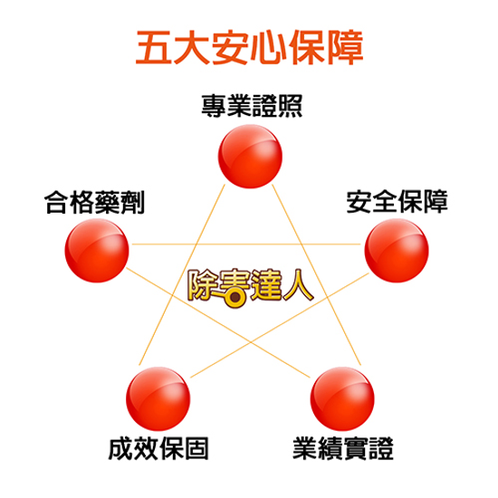 白蟻處理－鼠害防治－蟑螂防治－跳蚤防治－害蟲防治