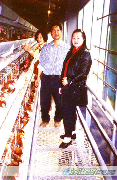 中部一養雞場採用本公司禽畜寶產品多年，除提升雞蛋品質之外，養雞現場好管理問題少，排便無臭味一般人在雞舍都可接受，不擾鄰