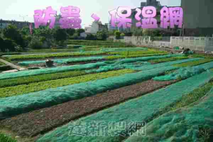防蟲網16目防蟲網24目防蟲網32目防蟲網防蟲網