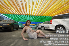 防蟲網16目防蟲網24目防蟲網32目防蟲網防蟲網