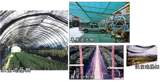 黑色針織網黑色平織網蘭花網訂製黑網的黑網蓋沙子黑網