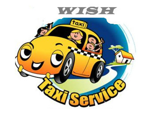 David Wish Travel Service