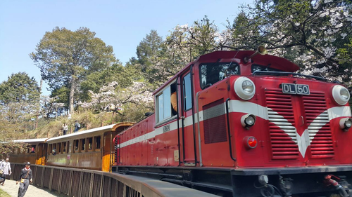 阿里山小火車