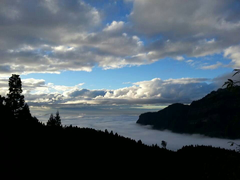 阿里山雲海