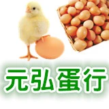 各類專業蛋品批發-零售