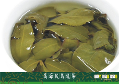 烏龍茶