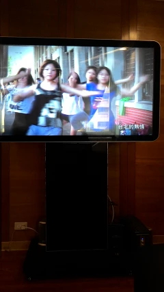 55吋T型機