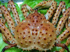 生凍帝王蟹