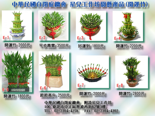 開運竹目錄