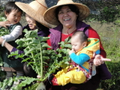 珍珠社區春天開心農夫體驗一日遊