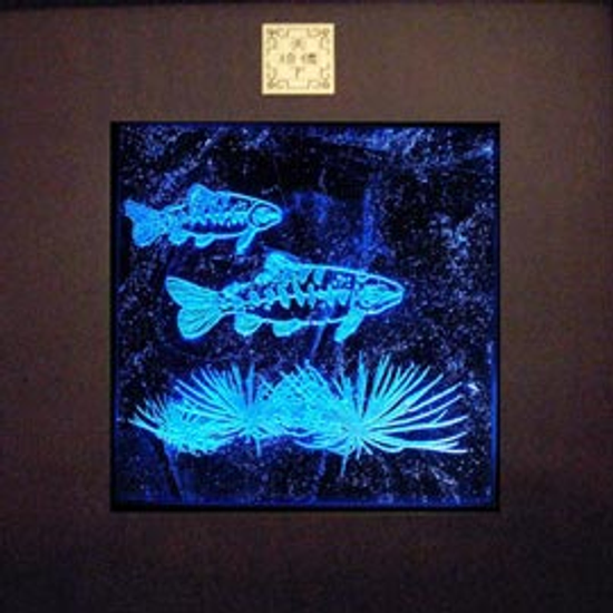 琉璃藝術燈-台灣之美--櫻花鉤吻鮭