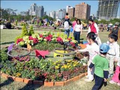 社區菜園