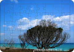 有邊框拼圖
