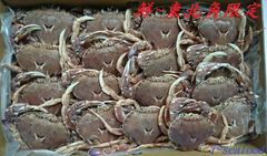 1盒/2kg,多種size可選擇