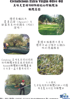 愛琴海全球貿易 - 希臘 - 初榨橄欖油 - 美味克里特
